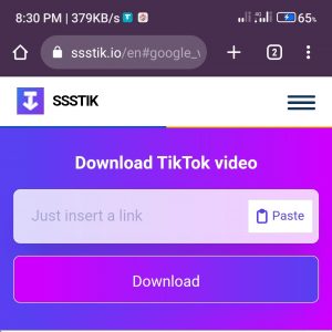 How to download Tiktok videos without Watermarks 