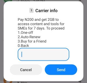 About MTN MSME 2gb for 200 naira data plan 
