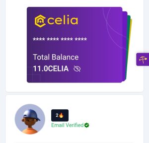 Celia finance 