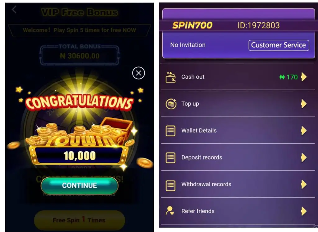 How to earn money on spin700
